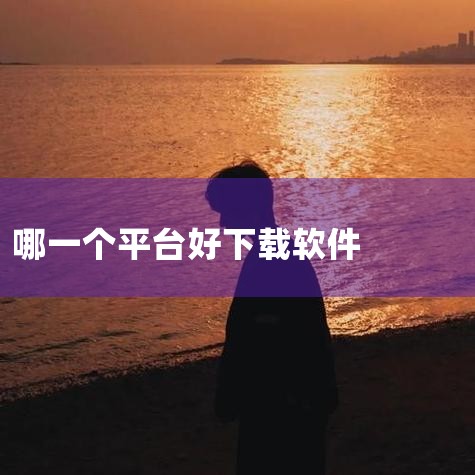 十大软件免费下载网站排行榜依次为：软天空、应用公园、酷安、豌豆荚、应用宝、MT管理器、360手机助手、茄子快传、小米应用商店和华为应用市场。这些网站各具特色，涵盖了各种不同类型的软件下载需求。例如，软|杏吧