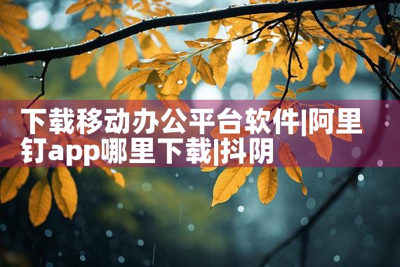 下载移动办公平台软件|抖阴