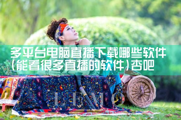 多平台电脑直播下载哪些软件|杏吧