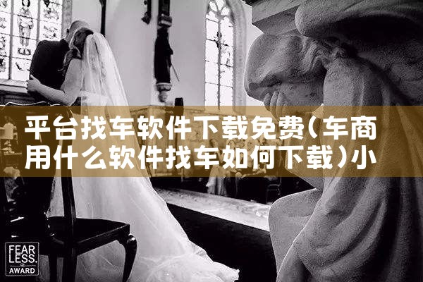 平台找车软件下载免费|小蓝视频
