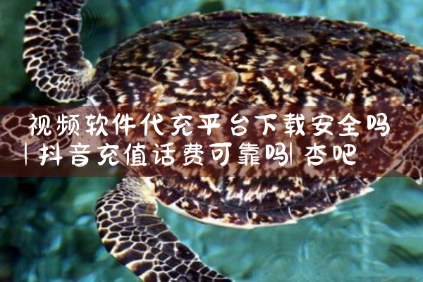视频软件代充平台下载安全吗|杏吧