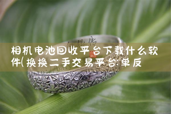 相机电池回收平台下载什么软件|杏吧