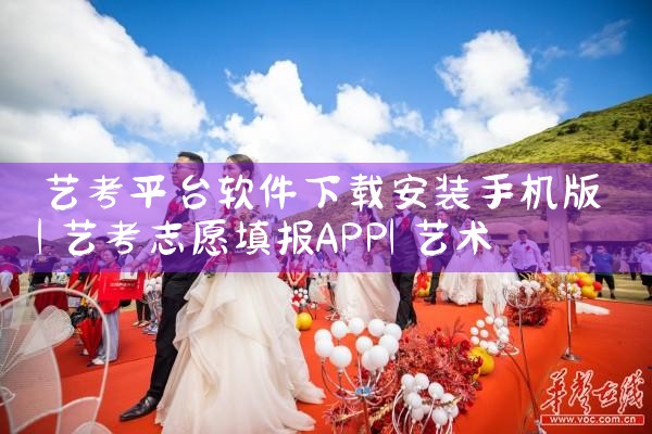 艺考平台软件下载安装手机版|杏吧