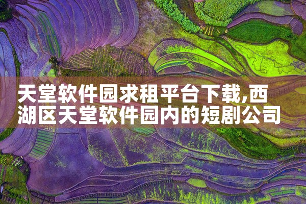 天堂软件园求租平台下载|杏吧